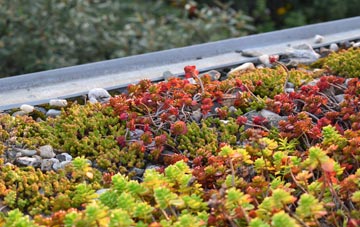 the cost of Sunken Marsh green roof installation