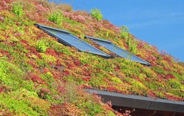 Sunken Marsh living roof systems